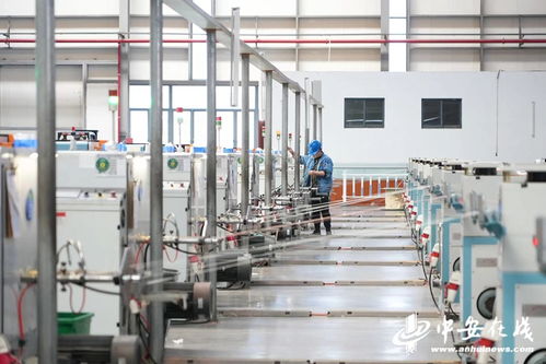 筑梦现代化共绘新图景 安徽担当，芜湖老乡凤还巢聚焦绿色智能新材料与教育咨询服务