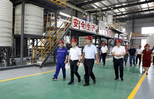 湖南永泽冶金与永晟福科技新厂竣工投产，并深化教育咨询服务，开启产业与人才协同发展新篇章