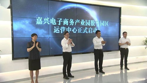 数字化与电商一体化 这个科技中介服务园区为何如此厉害