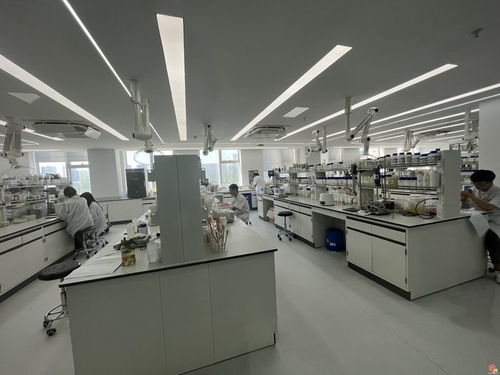 攻难点 治痛点 拆堵点——济南市政协开展科技成果转化与科技中介服务专项推进工作